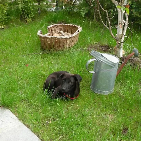 Mit Bergblick By Interhome Lejlighed Epinel