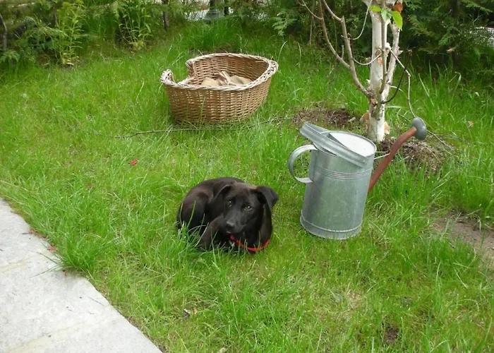 Mit Bergblick By Interhome Lejlighed Epinel